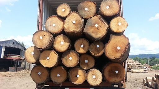 Gỗ sồi thuộc nhóm mấy? Phân loại nhóm gỗ theo tiêu chuẩn Việt Nam